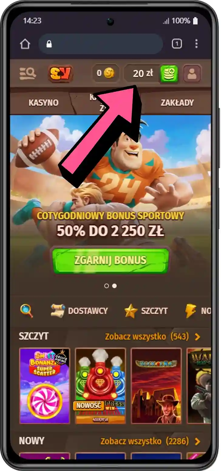 Chicken Pirate casino balance deposit screen