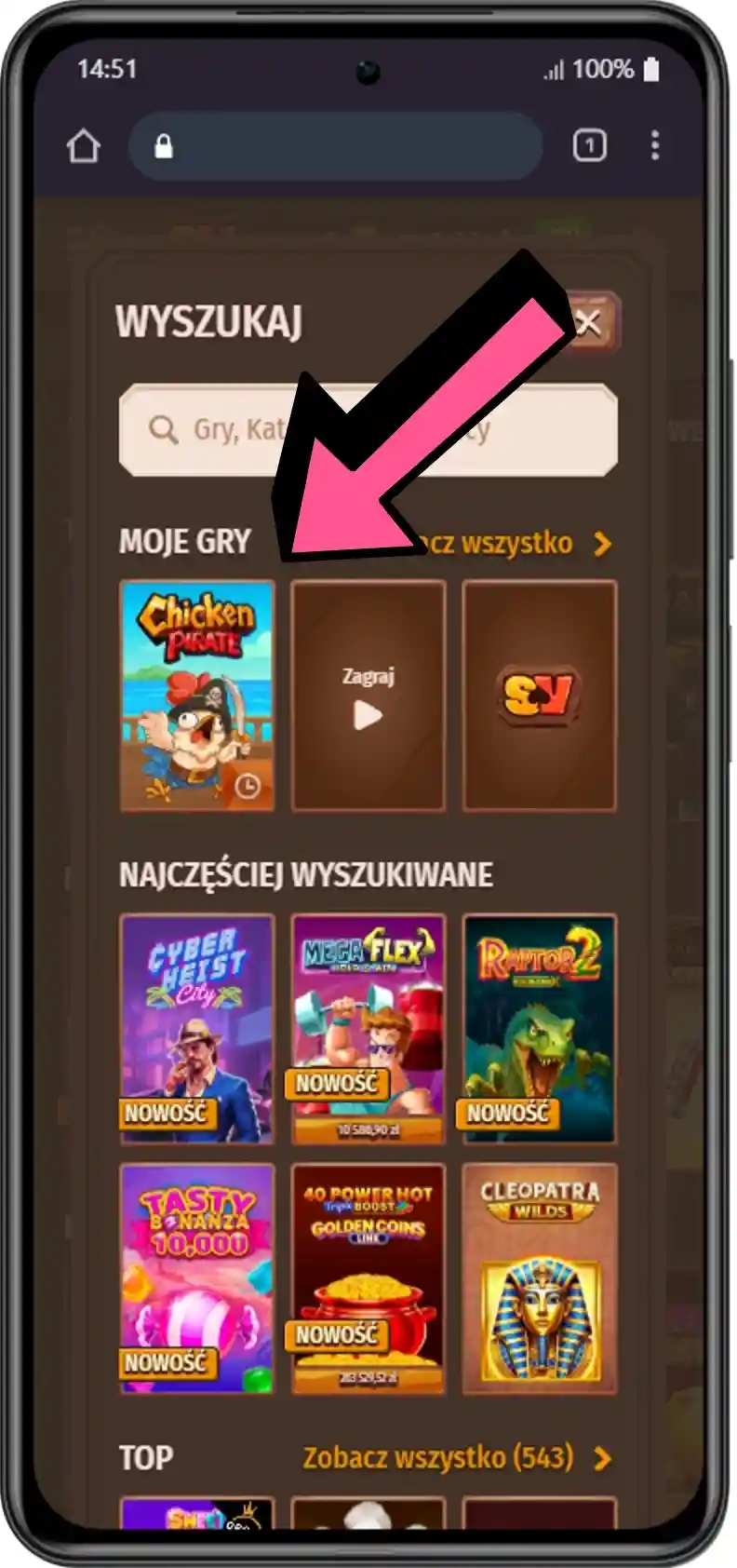 Chicken Pirate slot game search result